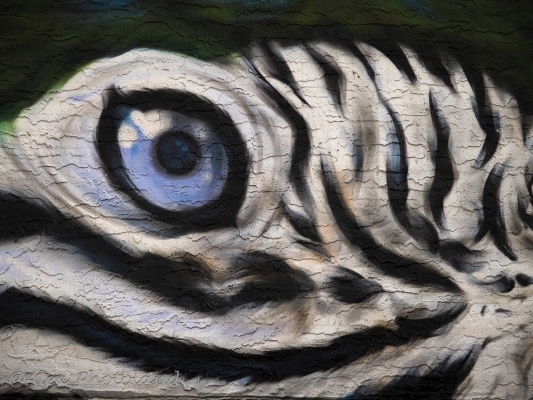 Tiled Image