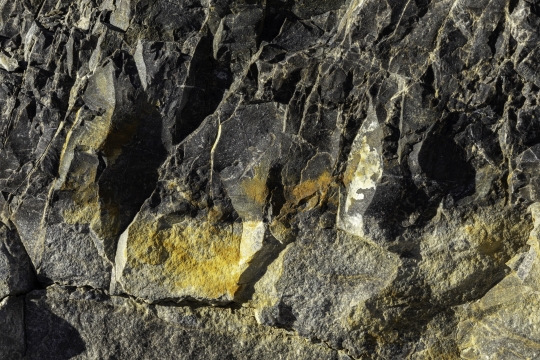 Tiled Image