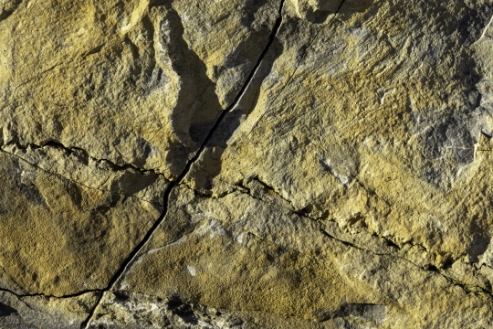 Tiled Image